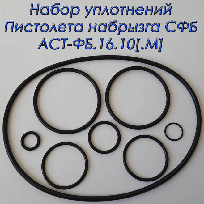 Набор уплотнительных колец для пистолетов СФБ АСТ ФБ.16.10 образца 2019 и 2022 г.